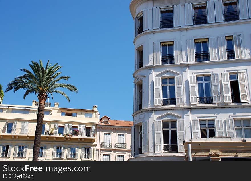 Hotel and palmtree in the city of Cannes