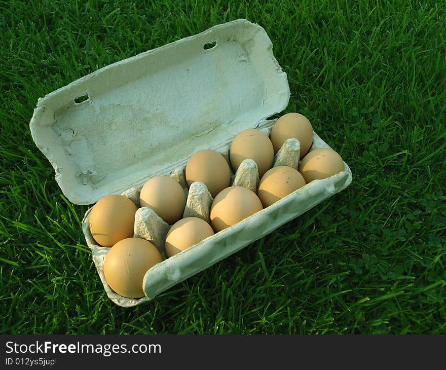 Brown chicken eggs stored in paperboard carton on grass