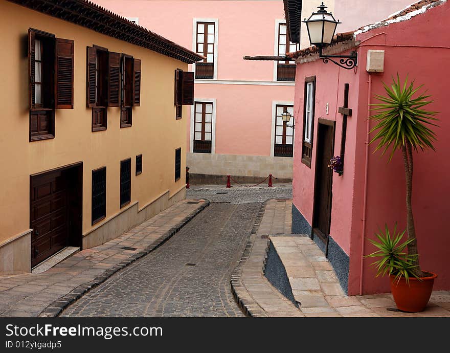 City street with houses and palm