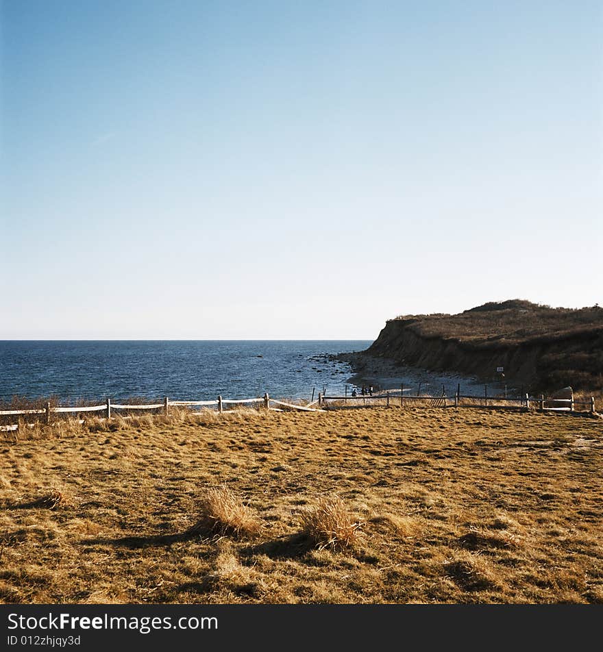 Field along the beach