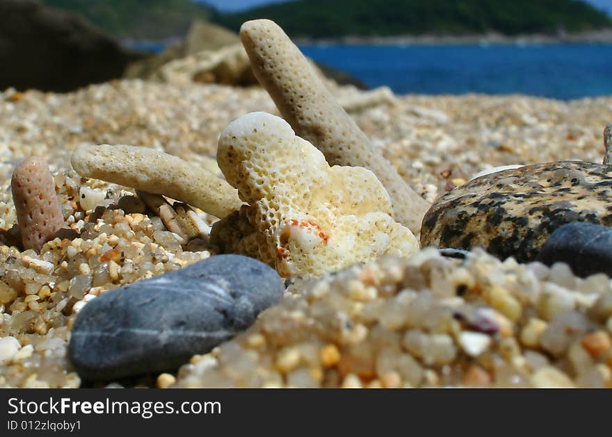 Coral Beach