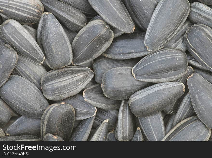 Sunflower seeds.