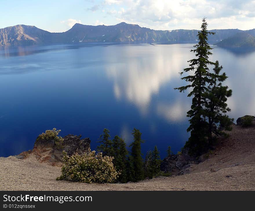 View of Crater Lake, the incredible blue with reflections in it. Pine tree in the foreground. Taken at Crater Lake National Park Oregon South Rim.