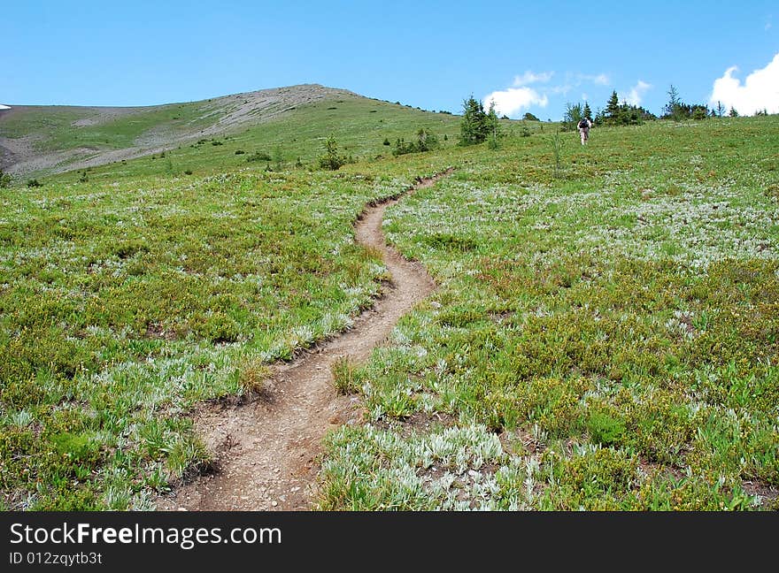 Hiking Trail And Meadow