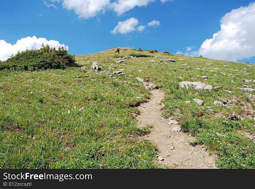 Hiking trail on mountain indefatigable, kananaskis, alberta, canada. Hiking trail on mountain indefatigable, kananaskis, alberta, canada