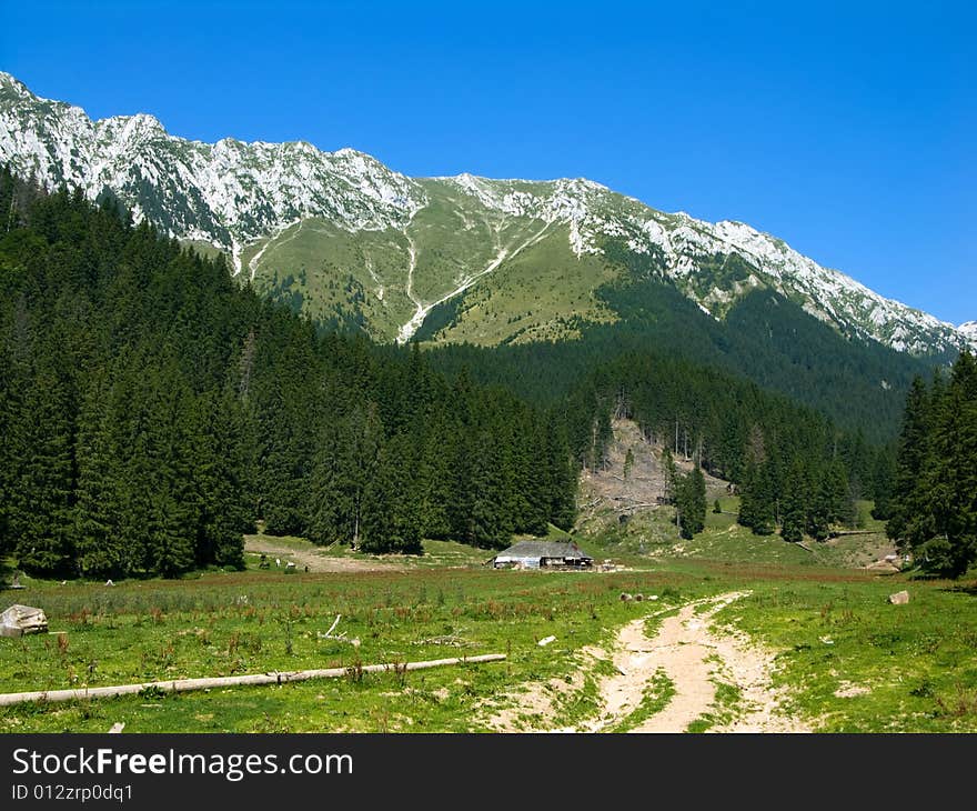 Meadow of Grind (1370 m altitude) in Piatra Craiului mountains. In background you have the Peak of La Om, the highest from this ridge (2239 m altitude). Meadow of Grind (1370 m altitude) in Piatra Craiului mountains. In background you have the Peak of La Om, the highest from this ridge (2239 m altitude)