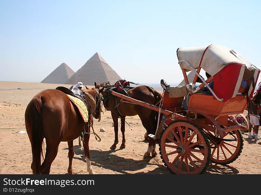 The pyramids in gaza