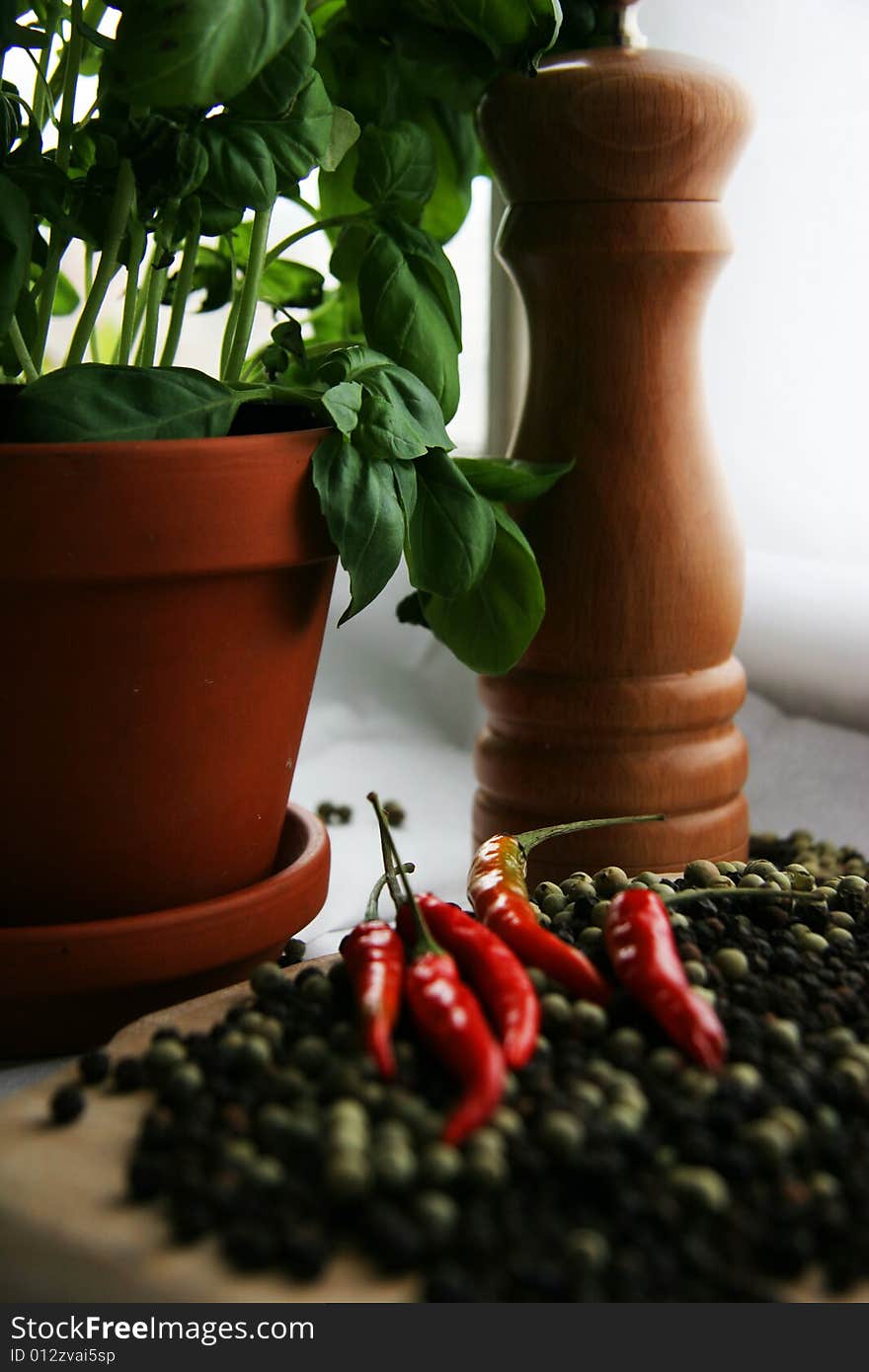 Fresh basilicum, black, white and chili- pepper. Fresh basilicum, black, white and chili- pepper