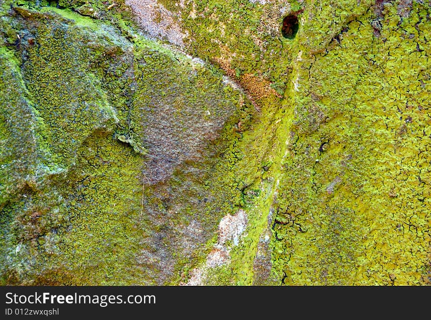 Colored (prevaling green) rough stone surface with lichen