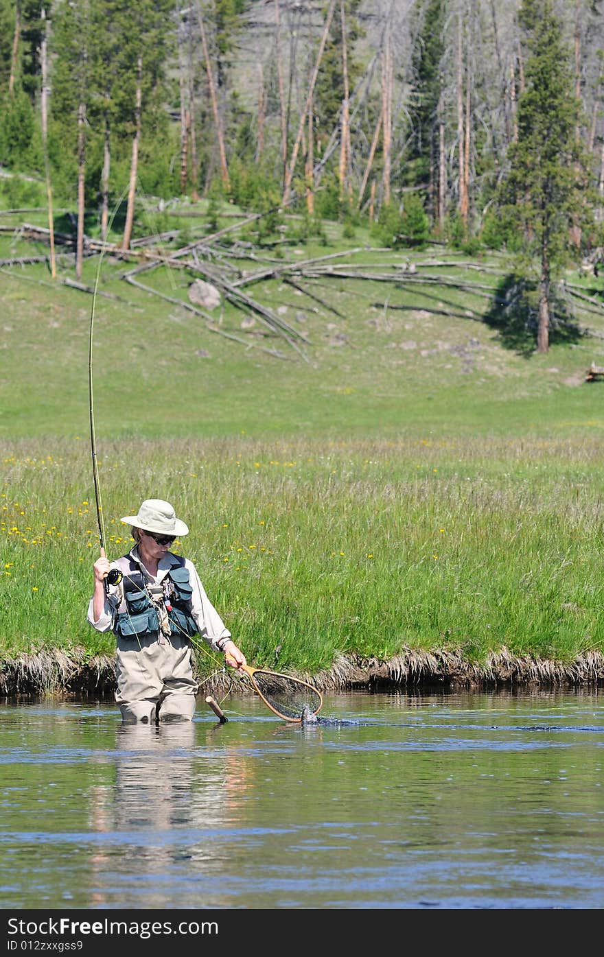 Active senior woman scooping fish into net