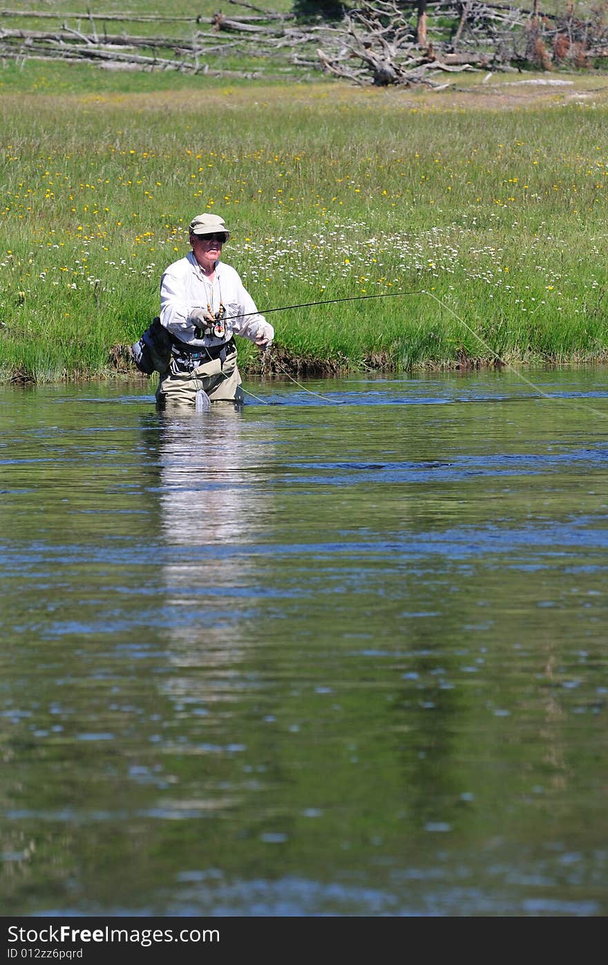 Active senior man laying out his flyfishing line in the Firehole River of Yellowstone Park. Active senior man laying out his flyfishing line in the Firehole River of Yellowstone Park.