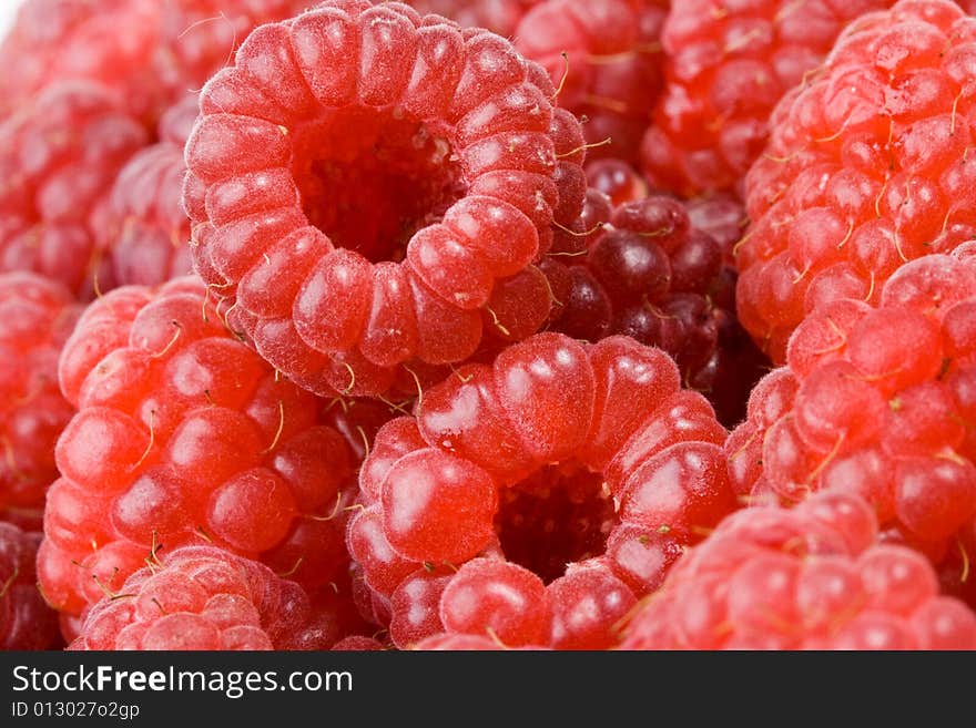 Fresh raspberry