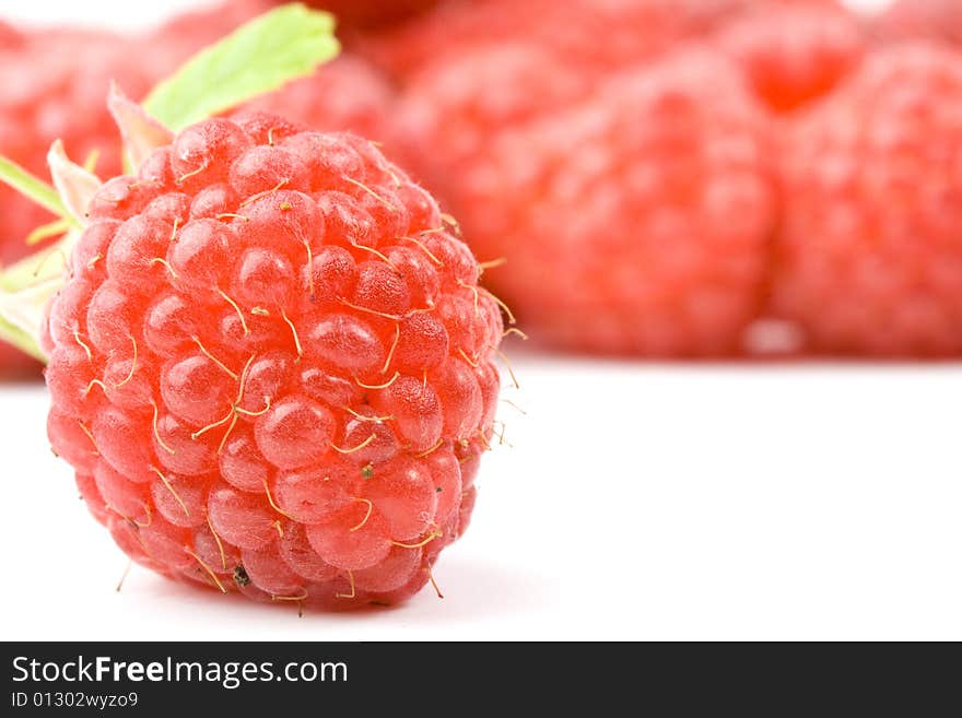 Fresh raspberry