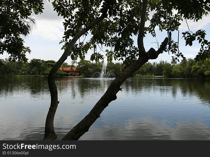 A beautiful landscape with water, flowers and trees. A beautiful landscape with water, flowers and trees