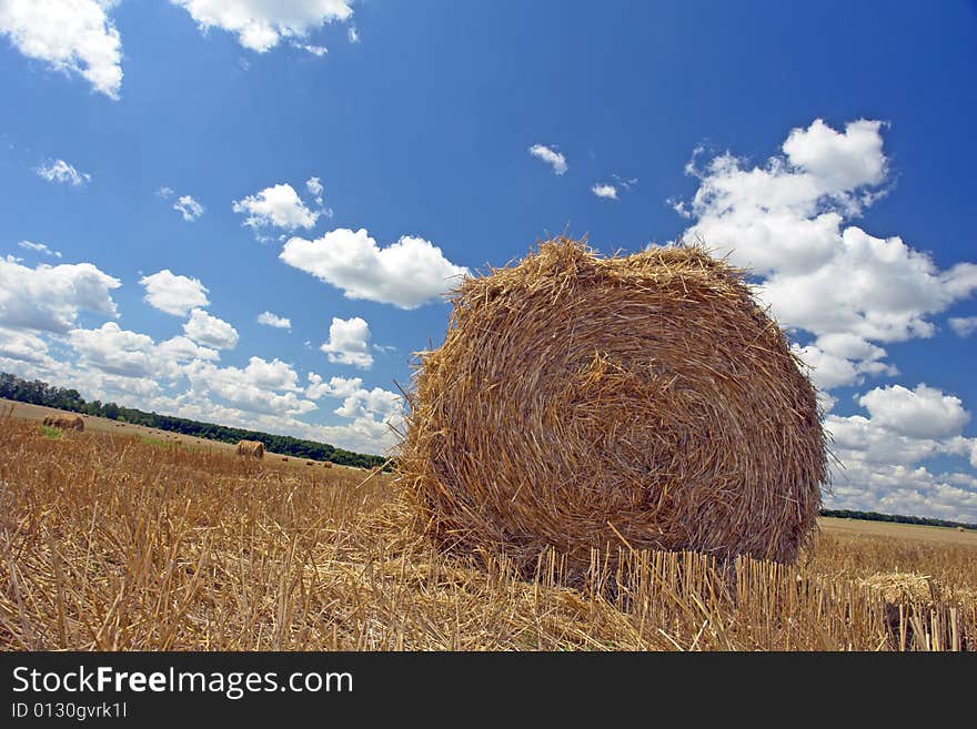 Landscape on a background of clouds