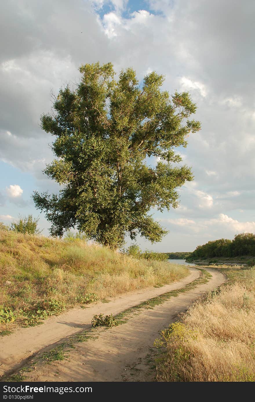 Road to the river