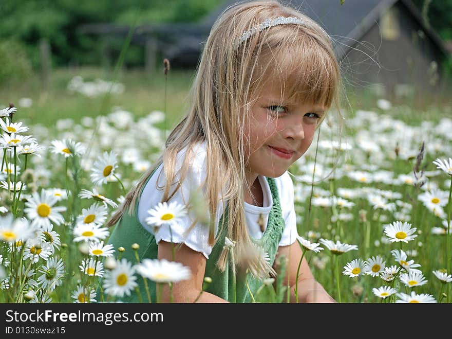 Little girl in a field of wild daisies. Little girl in a field of wild daisies.