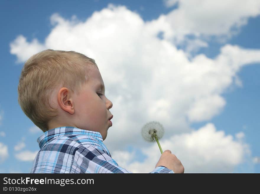 Boy blowing dandelion