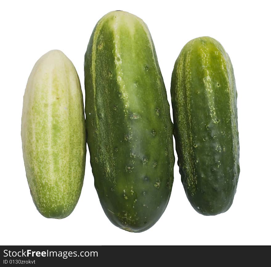 Cucumber