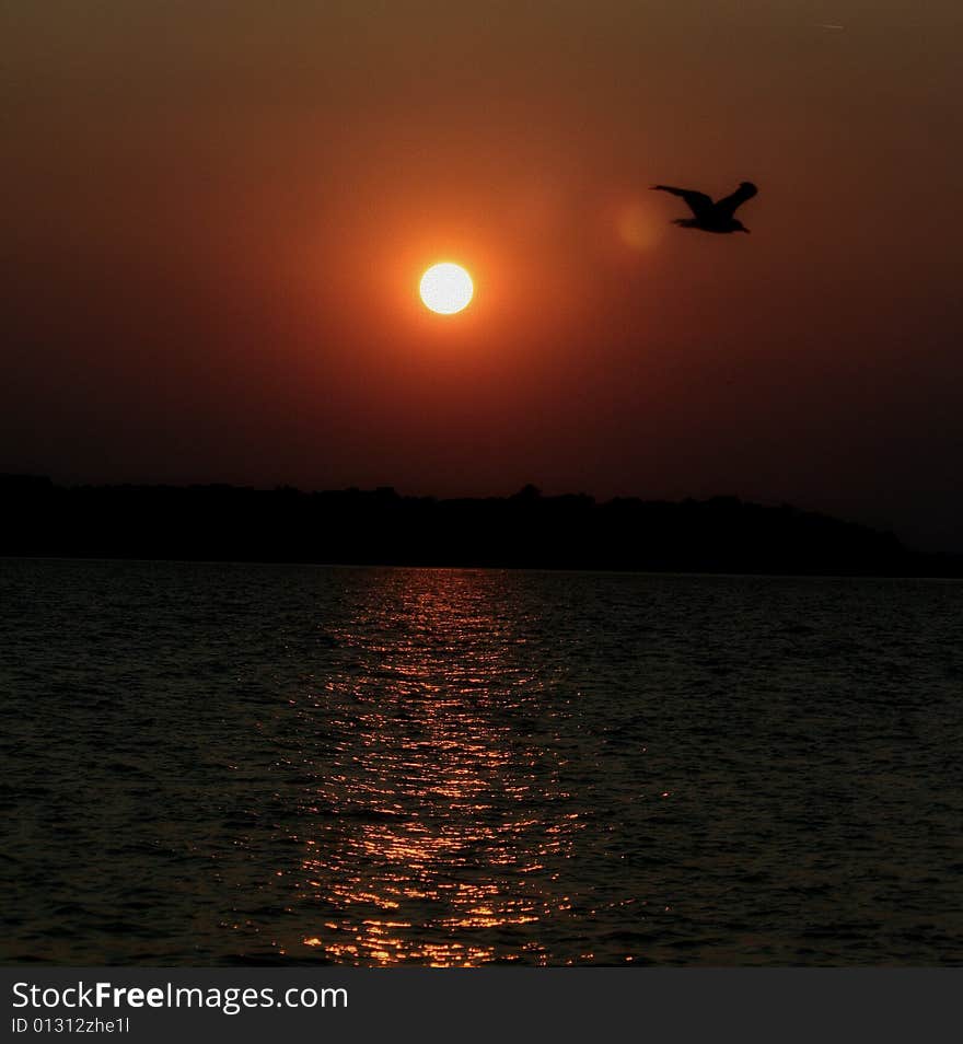 Photo of a pelican with a nice sunset surrounding sky. Photo of a pelican with a nice sunset surrounding sky.