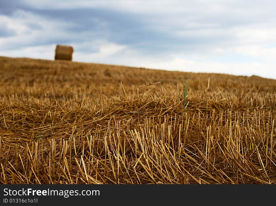 Straw and moody sky