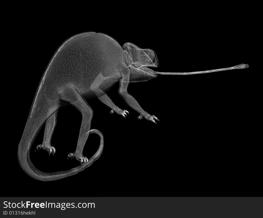 Black and white wire render with chameleon lizard. Black and white wire render with chameleon lizard