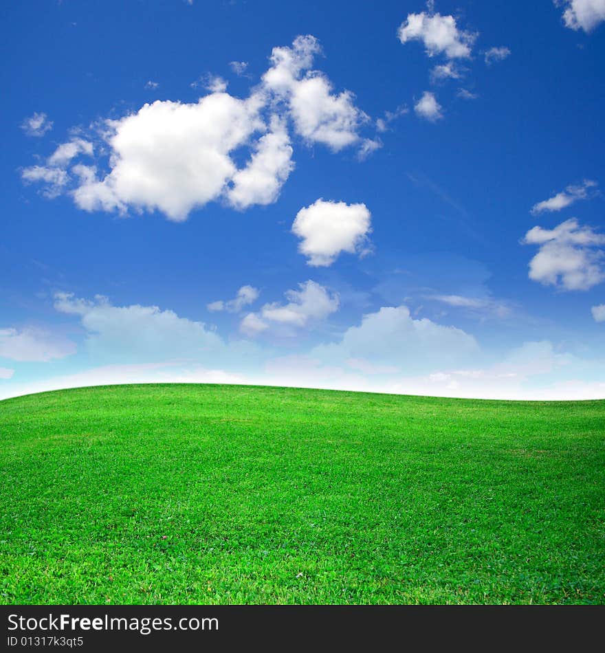 Green field beautiful, blue sky