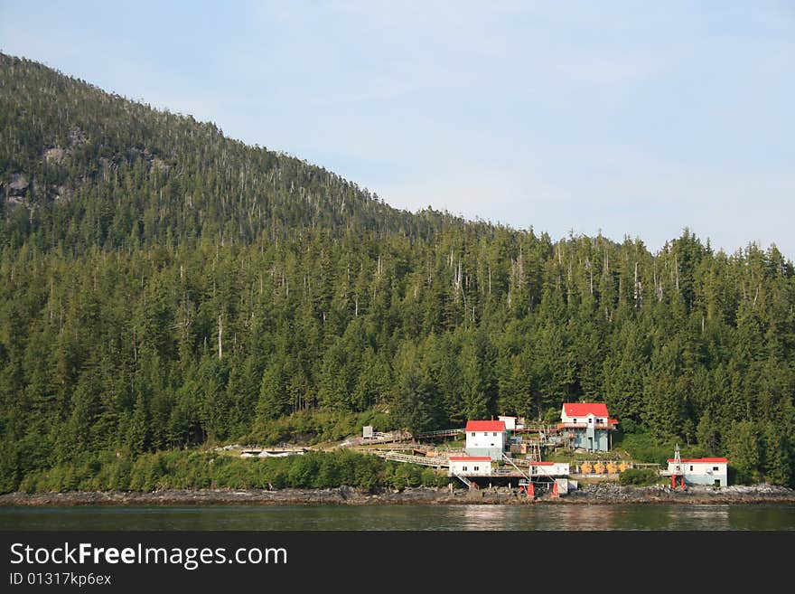 Shellfish process plant