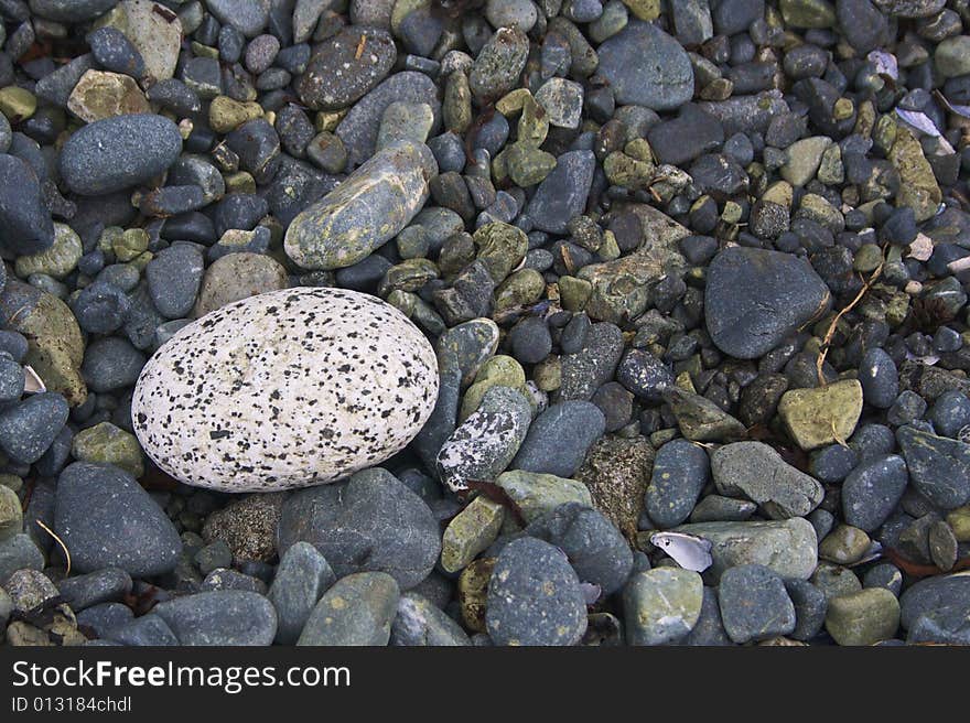 Smooth stone and pebbles on the shore. Smooth stone and pebbles on the shore