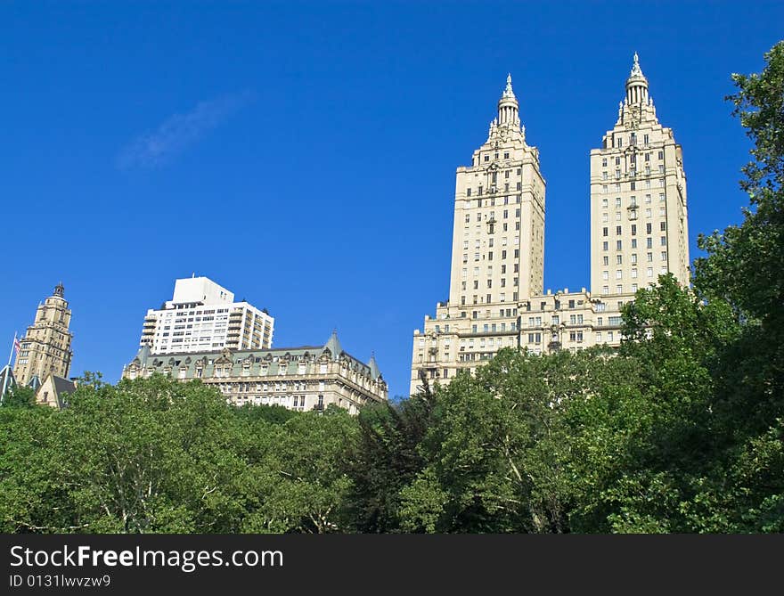 Skyscrapers in the back and trees in the front. Skyscrapers in the back and trees in the front