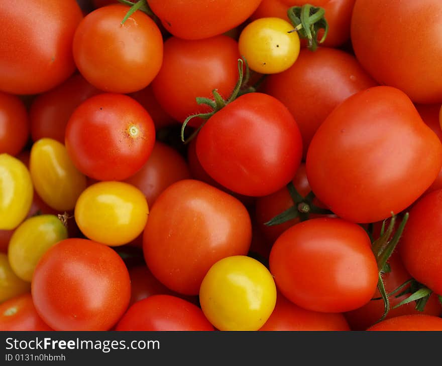 Tomatoes