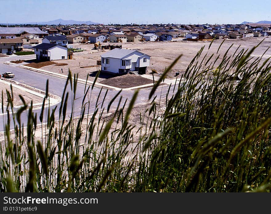 Suburb housing