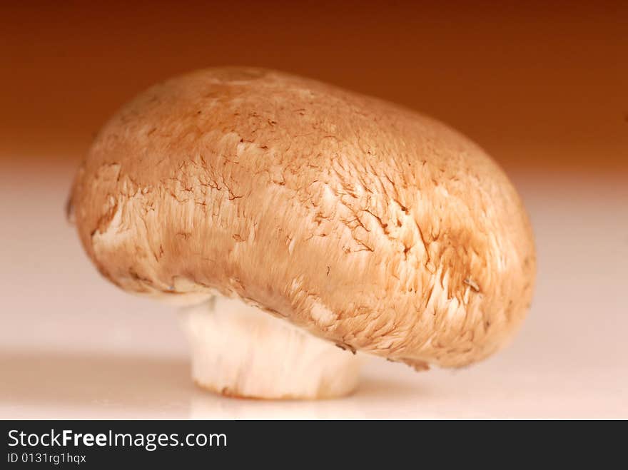 Fresh organic crimini mushroom