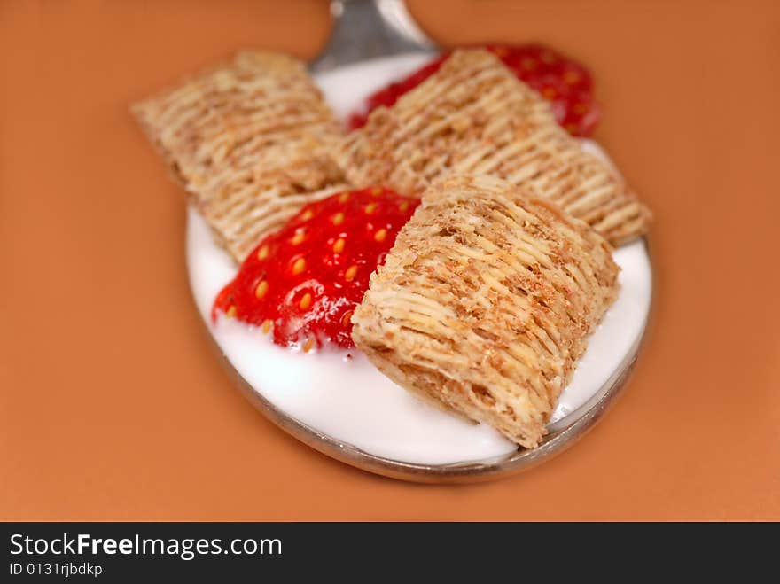 Shredded wheat cereal in spoon