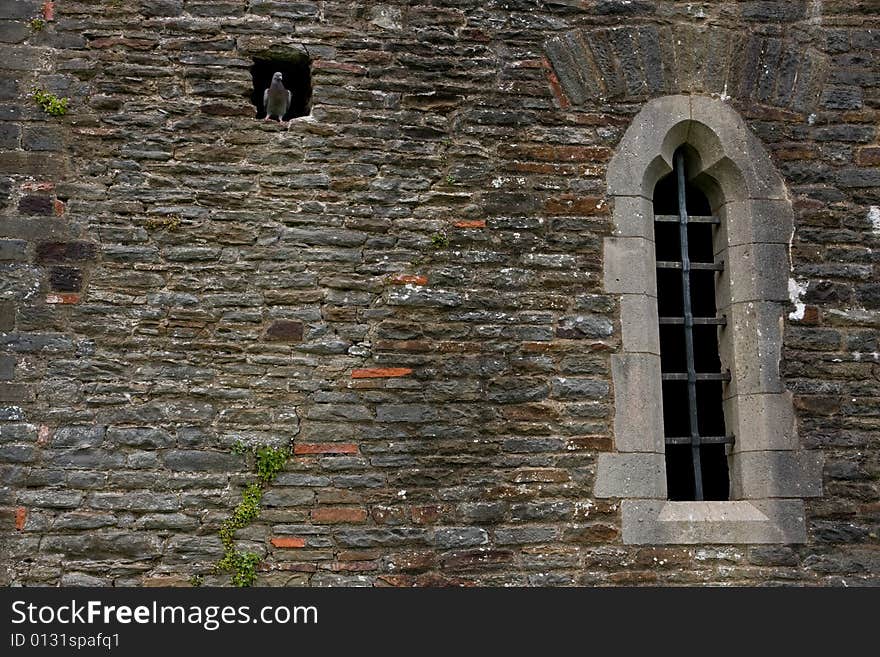 Old brick wall with window with bars and pigeon looking out from a hole. Old brick wall with window with bars and pigeon looking out from a hole