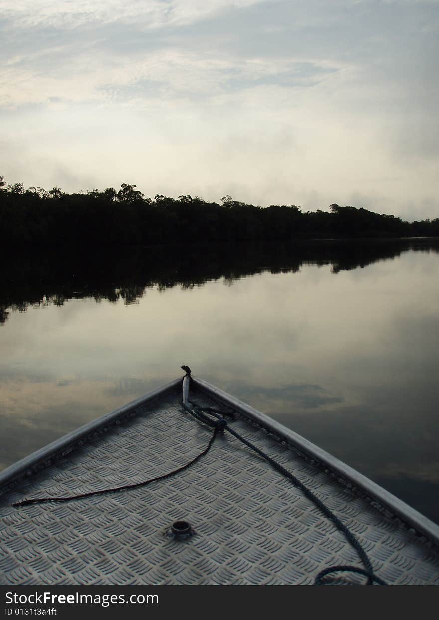 Early Morning in the Amazon