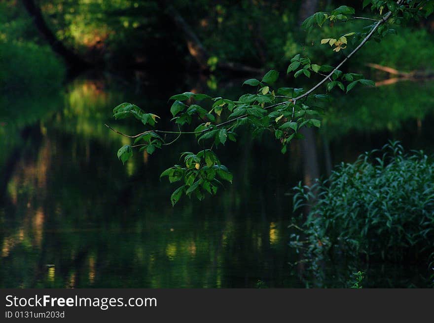 Little Duck River Manchester TN. Little Duck River Manchester TN