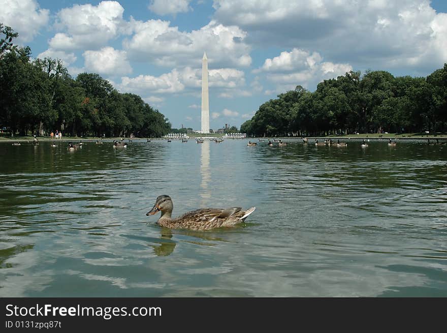 The Washington Monument is the most prominent, as well as one of the older, attractions in Washington, D.C. It was built in honor of George Washington, who led the country to independence, and then became its first President.
