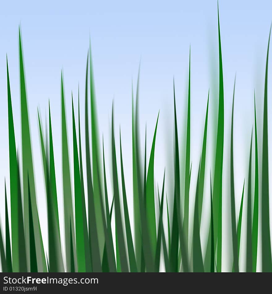 Grass Illustration