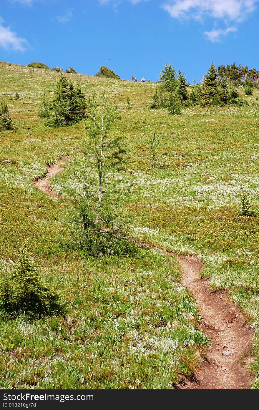 Hiking trail on mountain indefatigable, kananaskis country, alberta, canada. Hiking trail on mountain indefatigable, kananaskis country, alberta, canada