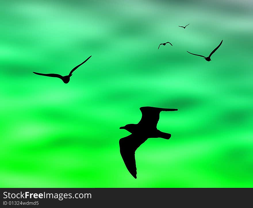 Birds flight