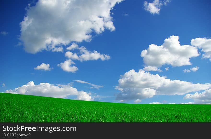 White clouds and a green field. White clouds and a green field