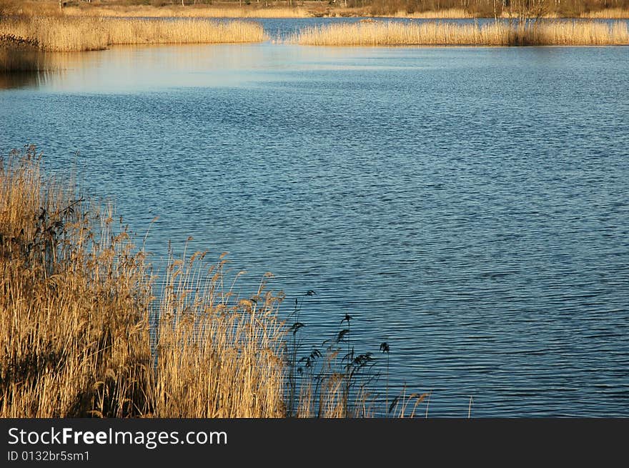 Lake in a sun day