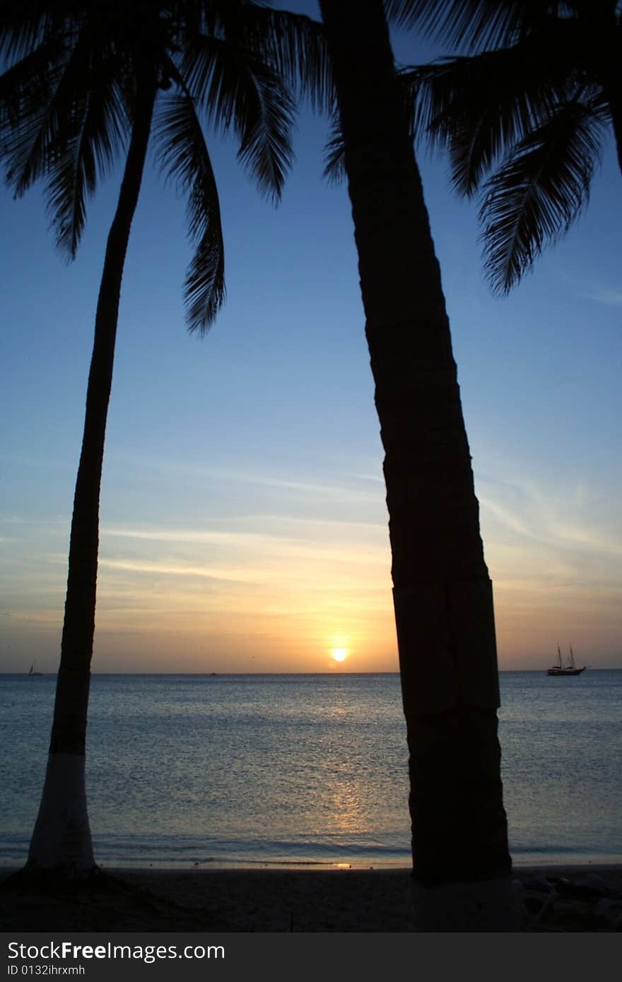 Palm silhouettes on Aruba Beach at sunset, Tropical Caribbean Island. Palm silhouettes on Aruba Beach at sunset, Tropical Caribbean Island