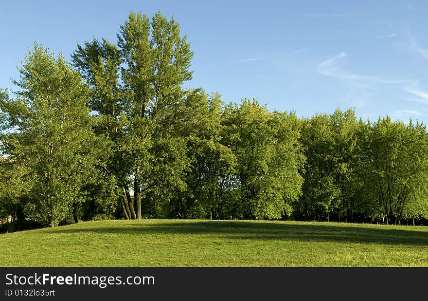 Landscape with trees and blue sky