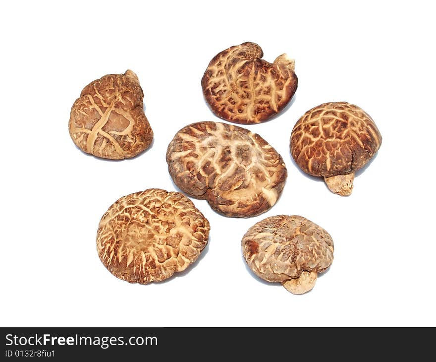 Dried mushroom with white background