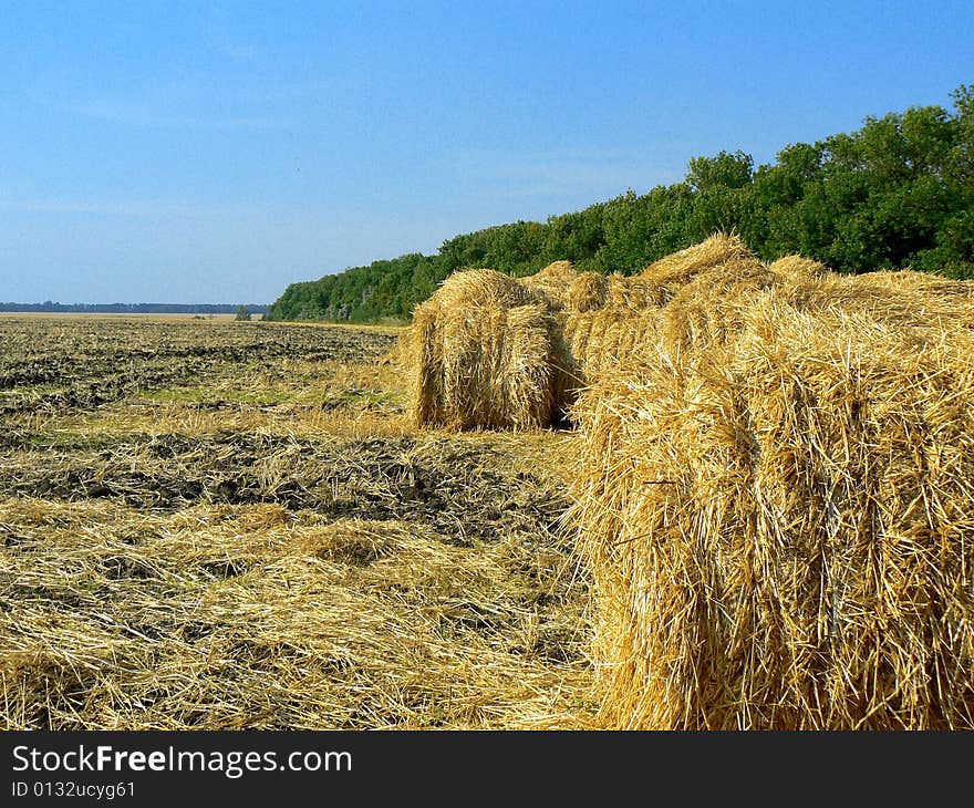 Haystack