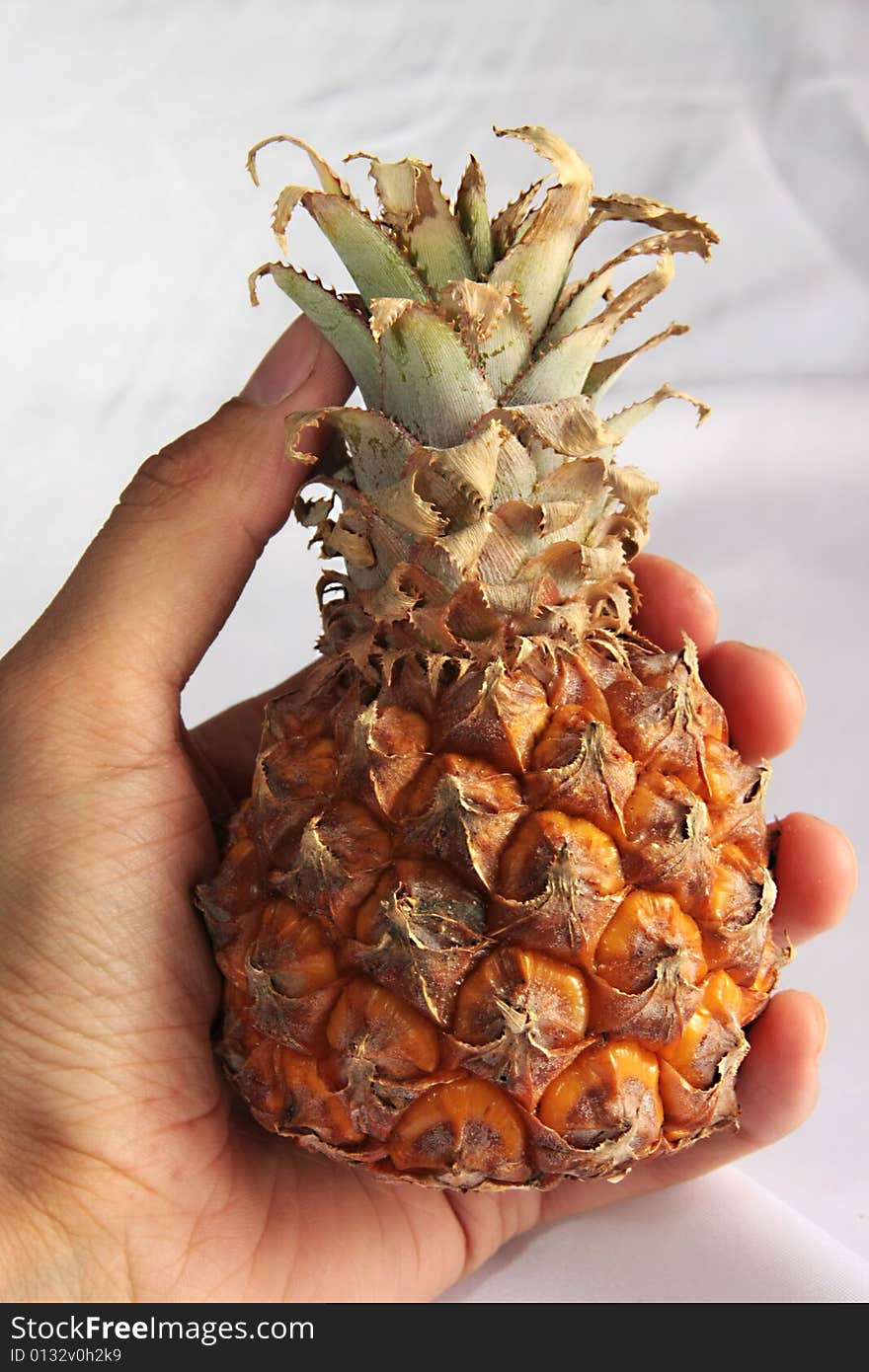 A ripe pineapple in a man's hand. A ripe pineapple in a man's hand