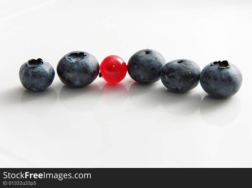 Black currant and red currant on a grey background. Black currant and red currant on a grey background