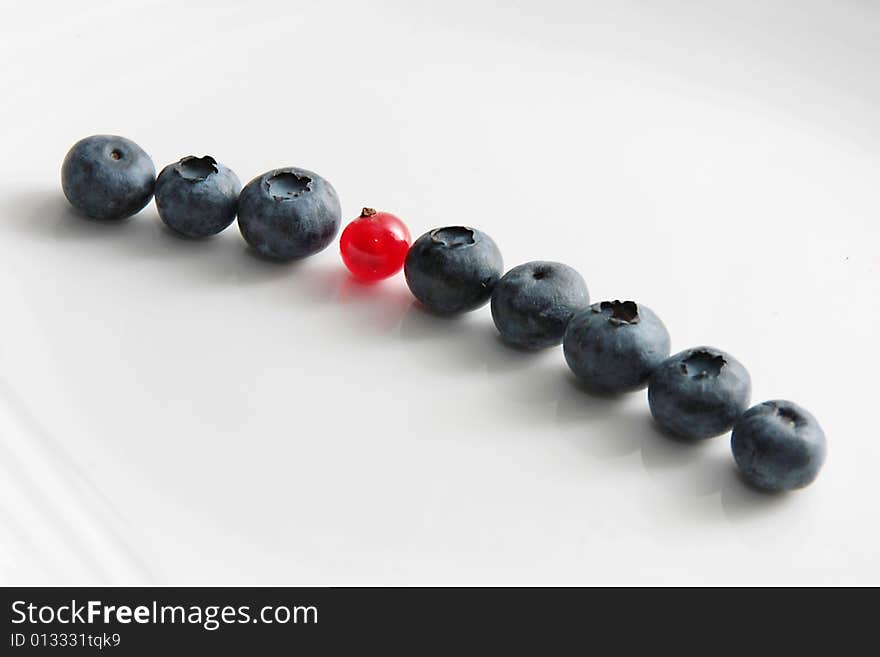 Black currant and red currant on a grey background. Black currant and red currant on a grey background